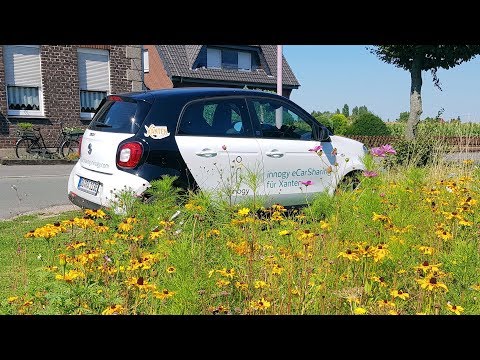 Elektrisch fahren, genug Kofferraum für eine Dienstreise mit dem Smart (ForFour)?