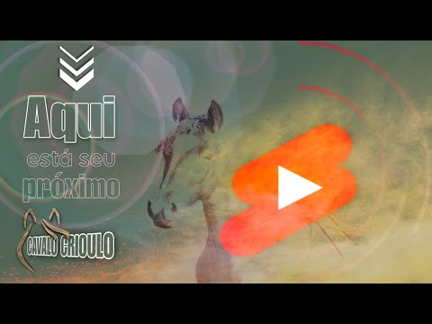 Somos Cavalo Crioulo 