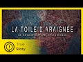 La Toile d’Araignée: Le Second Empire Britannique - True Story Documentary Channel