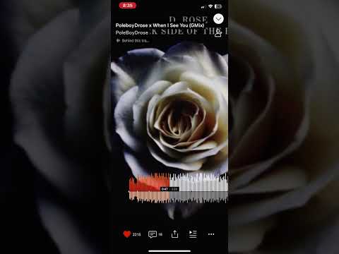 Poleboy D rose x WHEN I SEE YOU (GMIX)