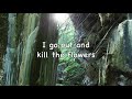 Graham Coxon - R U Lonely? (with Lyrics)