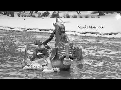 Munke Mose Odense fra1900 til 1966.