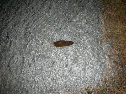 Oli hyvä sunnuntai pelailu