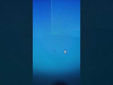 formiga entra e morre dentro do monitor 🐜