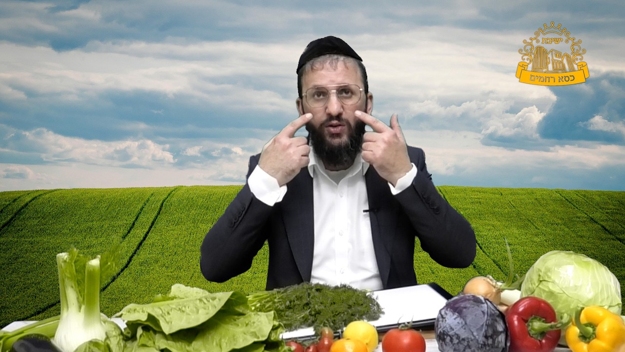 🪲חרקים!!! נראים בעין רגילה… או שלא?! | הרב חננאל כהן