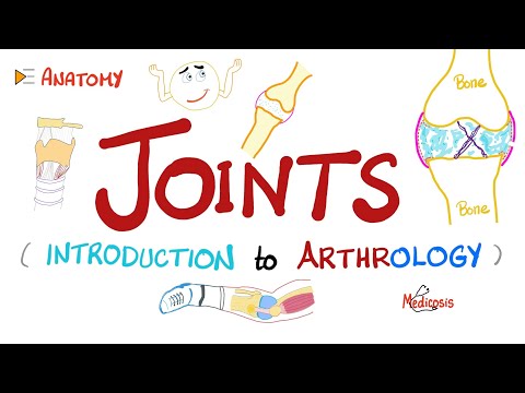 Joints - Anatomy & Physiology