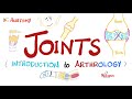 Joints Anatomy Physiology