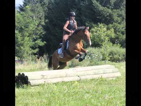 Stage G5,6,7 16 au 20.08.12 Haras de Préjeurin