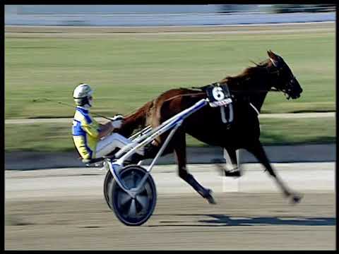 Trotto 20/06/2020 - 2ª corsa