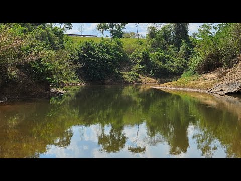 CHÁCARA NO RIO AREIAS | 20.000m² por R$ 110 MIL À VISTA | Alexânia-GO