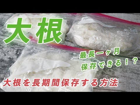 大根の保存方法:こうすれば長持ちします 庭の練習