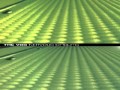 The Vss   Nervous Circuits