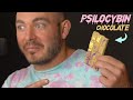 Adam Eats An Entire Mushroom Chocolate Bar Vital Educational Content