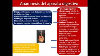 Clase abdomen portada 1