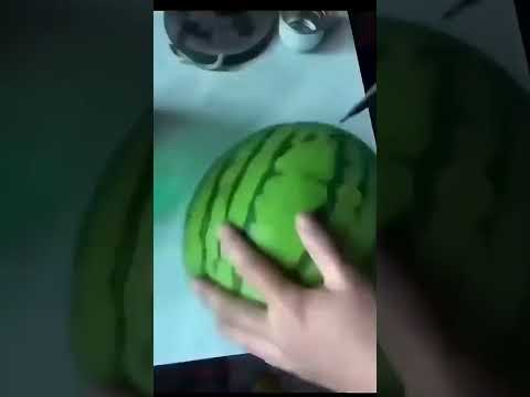 fresh fruit   ///    Organic House,Chillout,Ethno deep,Anatolia cafe