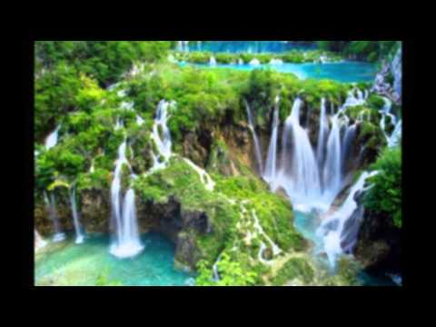 Sangeeta Nagpal Service Uncle