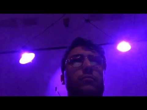 Piece of Paper live in NYC