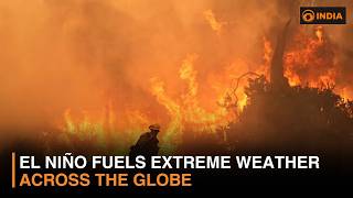 Extreme Weather Grips the World: Heatwaves, Wildfires, Floods & El Niño Impact
