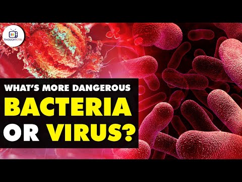 Virus vs Bacteria | Bacteria Virus Comparison | Which is More Dangerous | ThoughtCtrl
