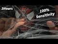 ASMR Spider Web Trigger Mouth Sounds For Sleep And Tingles 3 Hours