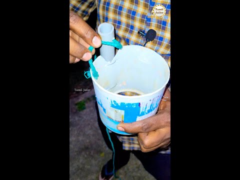 Protecting the fruit on the tree