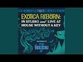 Cave of the Tarpon (Live)