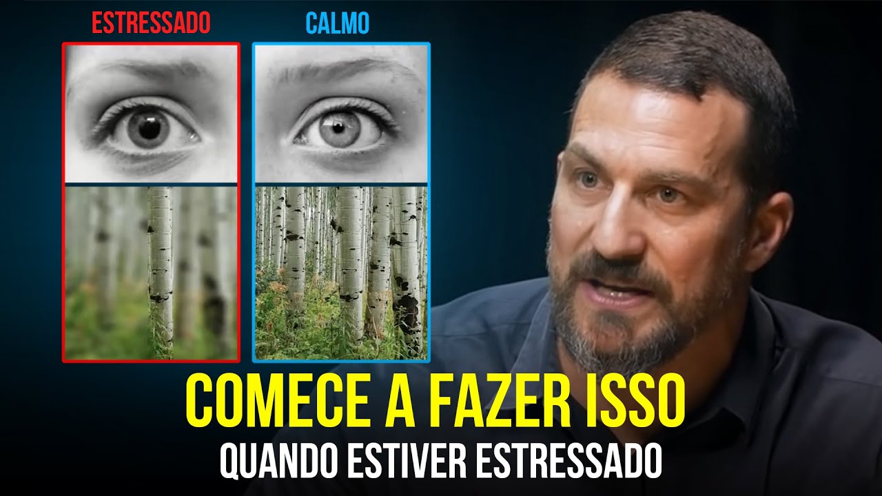 NUNCA MAIS FIQUE ESTRESSADO! |  Neurocientista Dr. Andrew Huberman