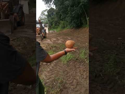 How to search for groundwater with a coconut shell. Before digging a well. #wells #shortvideo