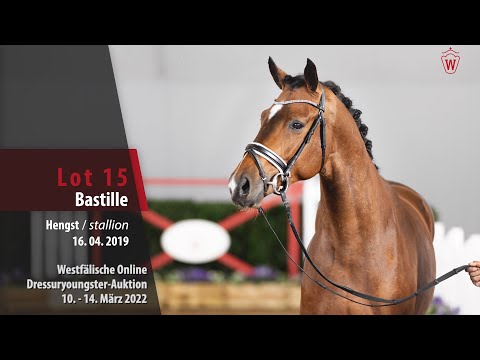 Dressuryoungster-Auktion Lot 15 Bastille Hengst v. By your Side - Vitalis