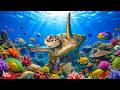 Relaxing Healing Music 🌿 Stress & Anxiety Relief 🌿 Mind, Body and Soul
