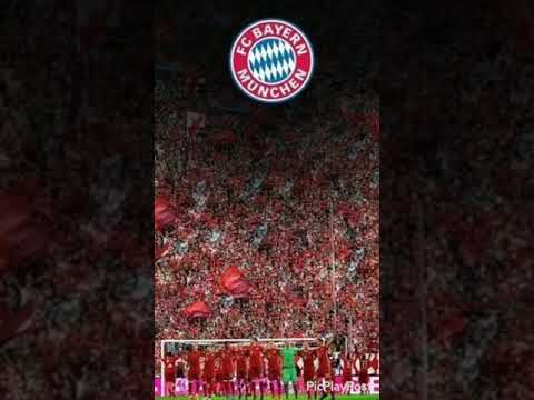 Wir werden wieder Meister