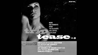 Erik Truffaz - Trippin' The Lovelight Fantastic