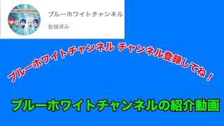 ブルーホワイトチャンネルチャンネル登録よろしく！！