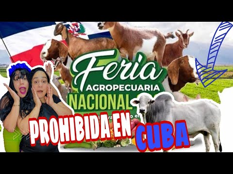 Cubanas reaccionan😲 A LA FERIA AGROPECUARIA D REPÚBLICA DOMINICANA 🇩🇴
