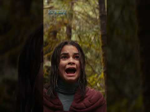 Mantén la calma y, ¡corre!