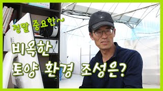 비옥한 토양 환경 조성은?