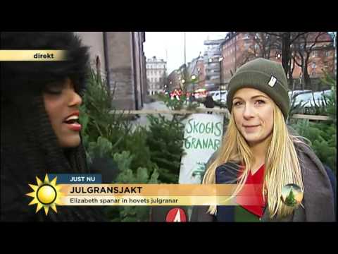 Här är hovets julgranar - Nyhetsmorgon (TV4)