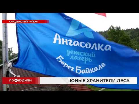 Можно ли есть золото и чем болеют деревья: школьники из 3 регионов сдали лесной экзамен на Байкале