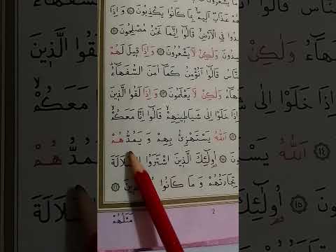 KURANA YENİ BASLAYANLAR İCİN BAKARA SURESİ 15-16 AYETLER #kuranıkerim #kuranögren #keşfet #tecvid