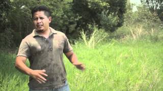 preview picture of video 'Ingeniero activista opositor a minera en Oaxaca México [ENTREVISTA - HD]'