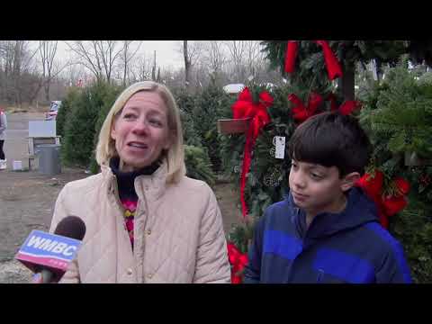 Xmas Tree, Buy Live, Local