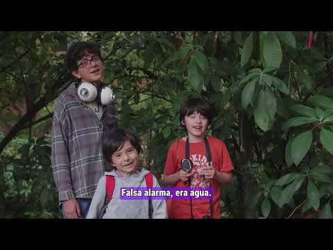 Lero, Lero, Animalero Mitos o verdades ¿los cucarron de mayo pueden hacernos daño? ¿Dañan nuestros jardínes?