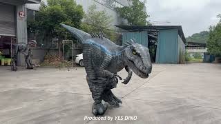 Wearable Velociraptor costume moving at close range