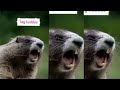 Kuddus Kuddus Kudus Trending Comedyvideos Funnyvideo Djcomedymans