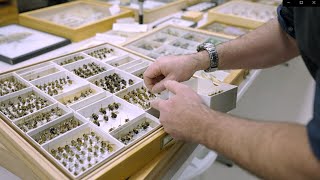 Occupational Video - Entomologist