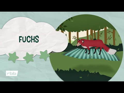 Impressionen: Fuchs | Unser Sandmännchen