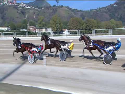 Trotto 22/09/2018 - 2ª corsa