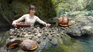 Harvesting snails in the forest - Sell snails in the village and cook - Duong bushcraft