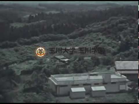 昭和34年頃の玉川学園全景