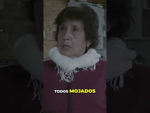 Supervivencia en la Cordillera: Nuestros ancestros arriesgaron todo #shorts